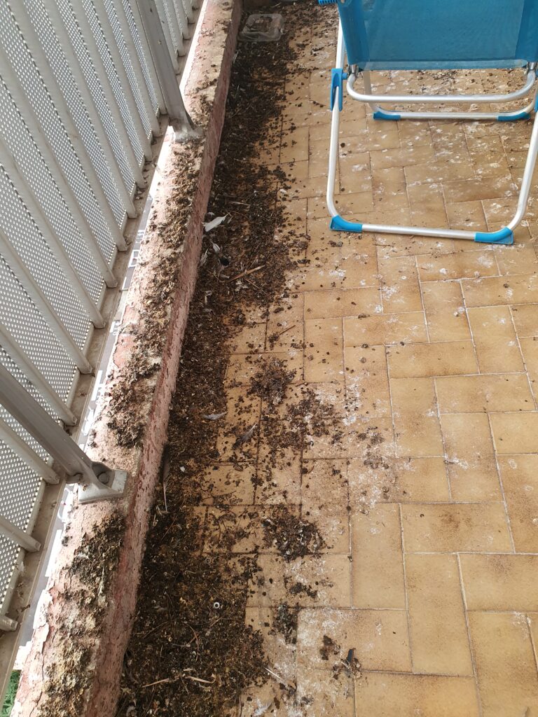 terrasse sale avant remise en état